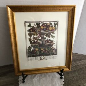 Vtg Robert Furber Twelve Months of Fruit June Framed Print